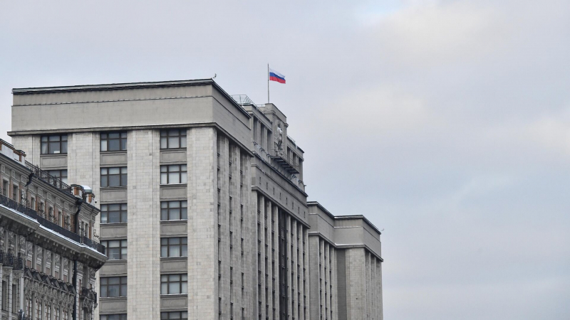 ГД денонсировала Европейскую конвенцию по предупреждению пыток