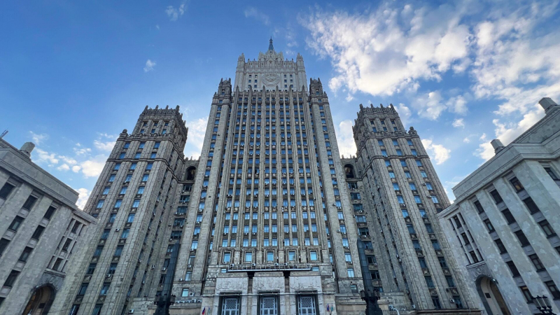 В МИД назвали Норвегию лжемиротворцем
